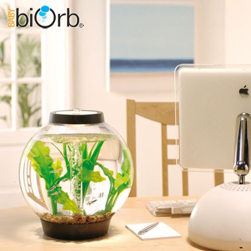 Baby biOrb Komplettaquarium 15L