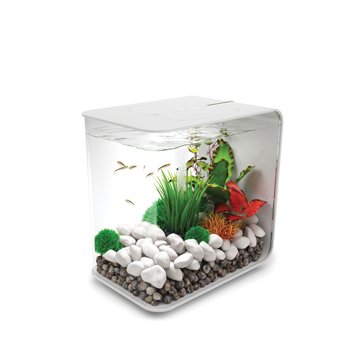 biOrb Flow 30 Liter Aquarium