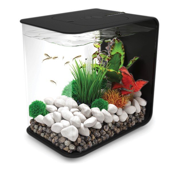 biOrb Flow 30 Liter Aquarium