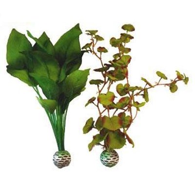 Silk Plants Seidenpflanzen mittel