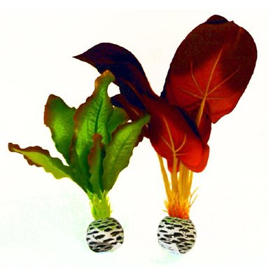 Silk Plants Seidenpflanzen klein