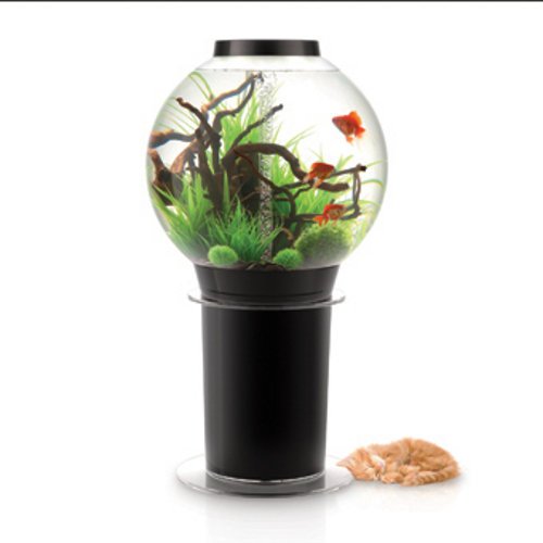 biOrb Stands�ule Acryl f�r 105 L biOrb Aquarium