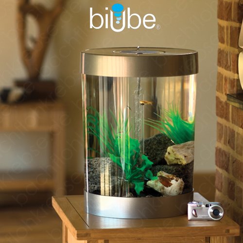 biUbe 35 L Komplett-Aquarium mit Halogen Licht