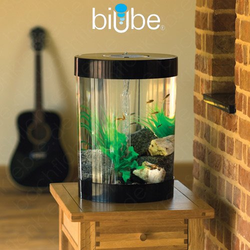 biUbe 35 L Komplett-Aquarium mit Halogen Licht