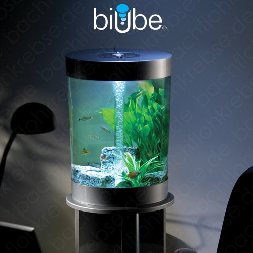 biUbe 35 Liter Komplettaquarium mit LED-Licht