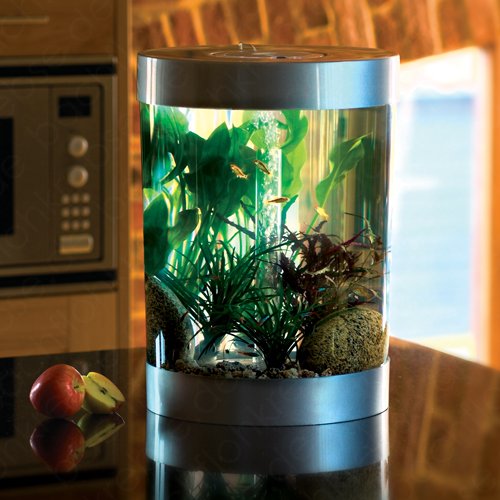 biUbe 35 L Komplett-Aquarium mit Halogen Licht