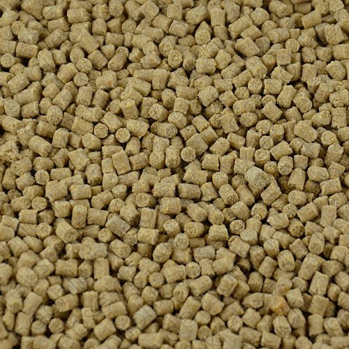 Cichlidenpellets (mittel 3mm)