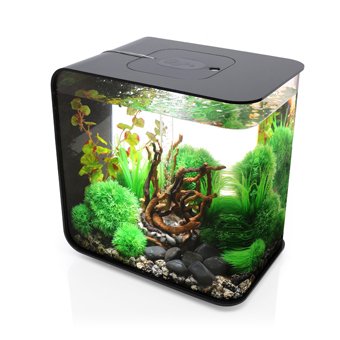 biOrb Flow 30 Liter Aquarium