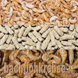 3L Schildkr�tenmix