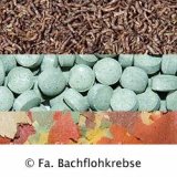 Aquariummix Sparpaket