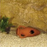 Amphore Natur M 21 cm