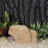 Canyon Rock 10x16x7 cm