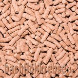 Cichlidensticks Rot