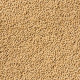 Cichlidenpellets (fein 1,5 mm)