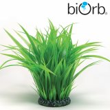 biOrb Deko-Grasring gro�