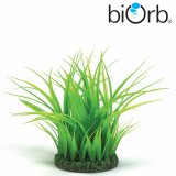 biOrb Deko-Grasring mittel