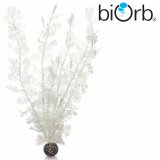 Hornkoralle weiss - biOrb Deko Pflanze