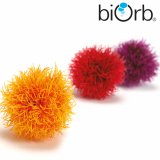 biOrb Pflanzenkugel gro�