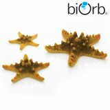 biOrb Seesterne Sets - Verschiedene Farben