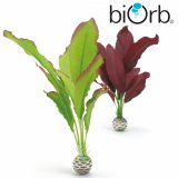 biOrb Silk Plants Seidenpflanzen mittel