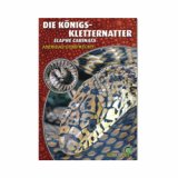Die K�nigskletternatter