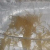 Enchytr�en 25x90ml Lebendfutter