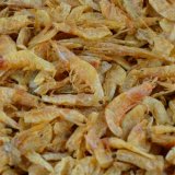 Garnelen (River Shrimps)