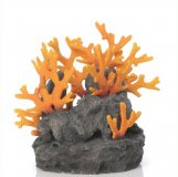 Lavafels mit Feuerkorallen f�r biOrb Aquarien
