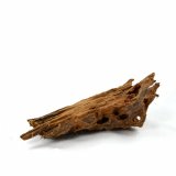 Mangrovenwurzel f�r Aquarien und Terrarien 12 - 15 cm