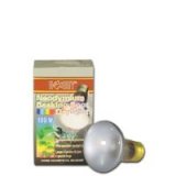 Neodymium Basking Spot Daylight 100 Watt