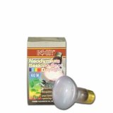 Neodymium Basking Spot Daylight 40 Watt