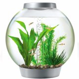 Baby biOrb Komplettaquarium 15L