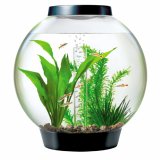 Baby biOrb Komplettaquarium 15L Moonlight Edition