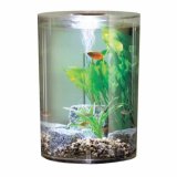 biUbe Komplett-Aquarium 35L LED oder HALOGEN -DURCHSICHTIG-