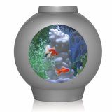 spyOrb Komplett Aquarium 30L Kaltwasser
