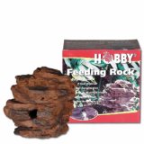 Reptile Feeding Rock Hobby