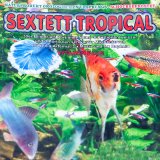 Tropical Sextett 100g Frostfutter