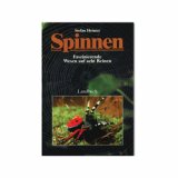 Spinnen Faszinierende Wesen