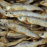 Stinte (getrocknete S��wasserfische / Trockenfisch)