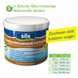 S�ll TeichschlammEntferner