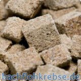 Tubifex (Bachr�hrenw�rmer)