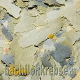 Vegetal Flockenfutter