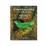 Wasseragamen und Segelechsen