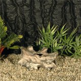 Wurzel R�hre 12x7cm
