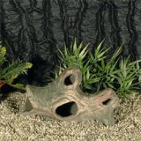 Wurzel R�hre 19x11cm