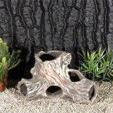 Wurzel R�hre 23x13cm