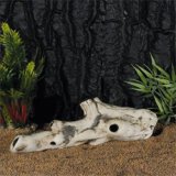 Wurzel R�hre 24x7cm