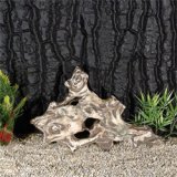 Wurzel R�hre 26x19cm