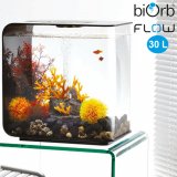 biOrb Flow 30 Liter mit Lavafels und Feuerkorallen