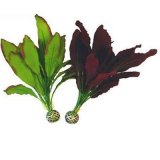 Silk Plants Seidenpflanzen mittel